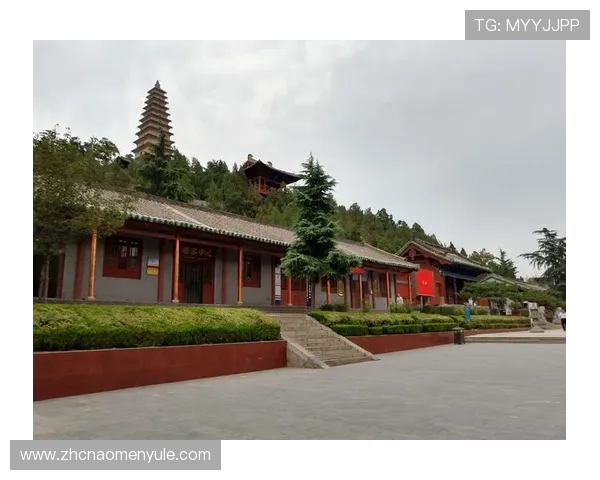 揭秘ku 真人的背后故事与行业影响力全景展开